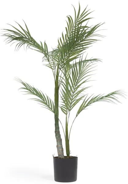 Palmera, τεχνητό φυτό, μαύρο, H70x70x60 cm